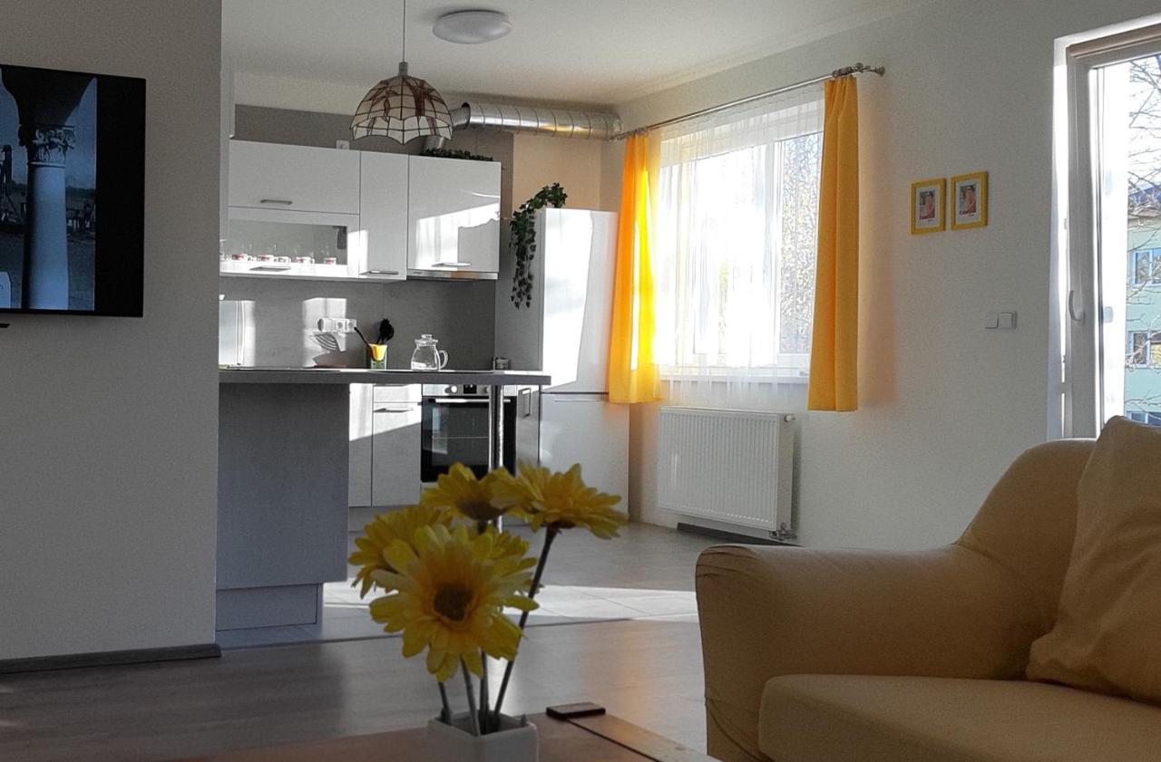 Rodinny Apartman Lucie V Blizkosti Wellness Hotelu Ve Frymburku Exterior foto