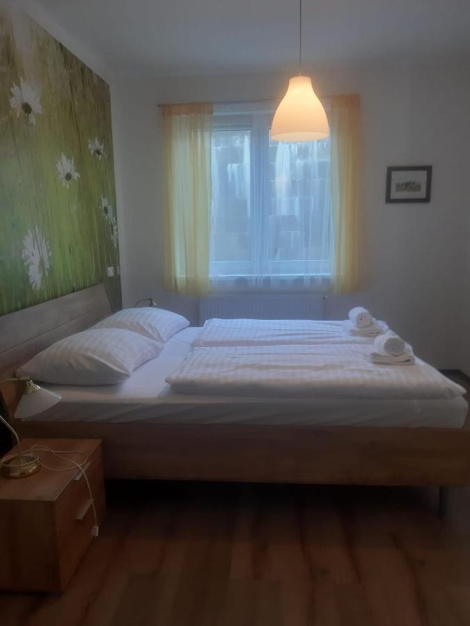 Rodinny Apartman Lucie V Blizkosti Wellness Hotelu Ve Frymburku Exterior foto